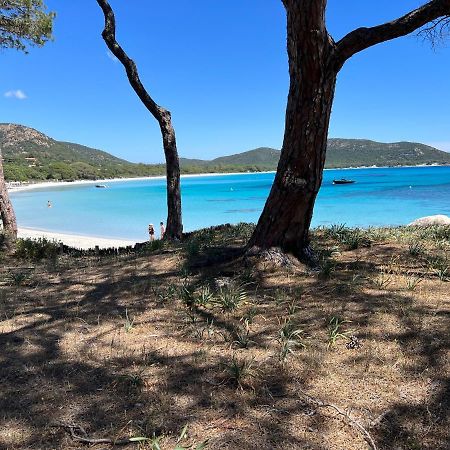 Palombaggia Villa Porto-Vecchio  Eksteriør bilde