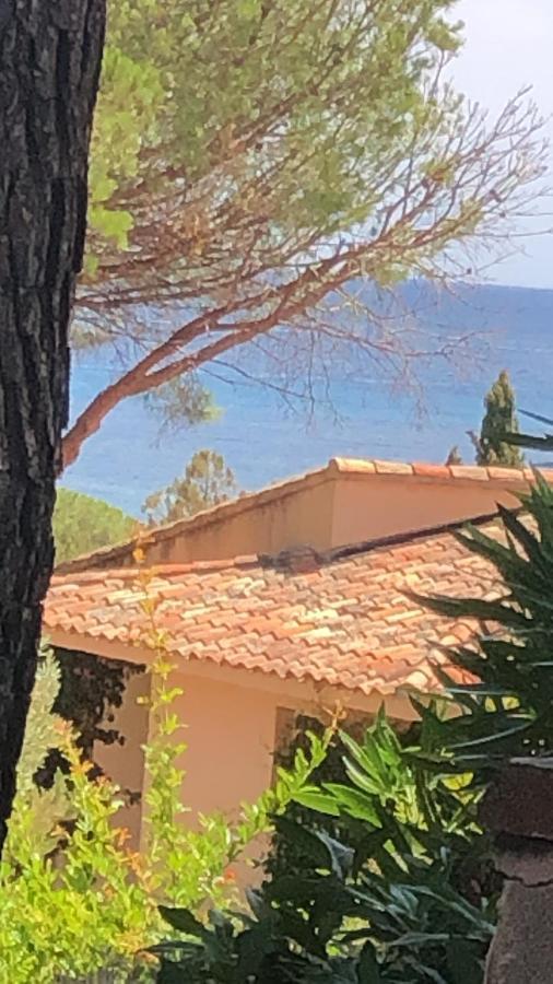 Palombaggia Villa Porto-Vecchio  Eksteriør bilde