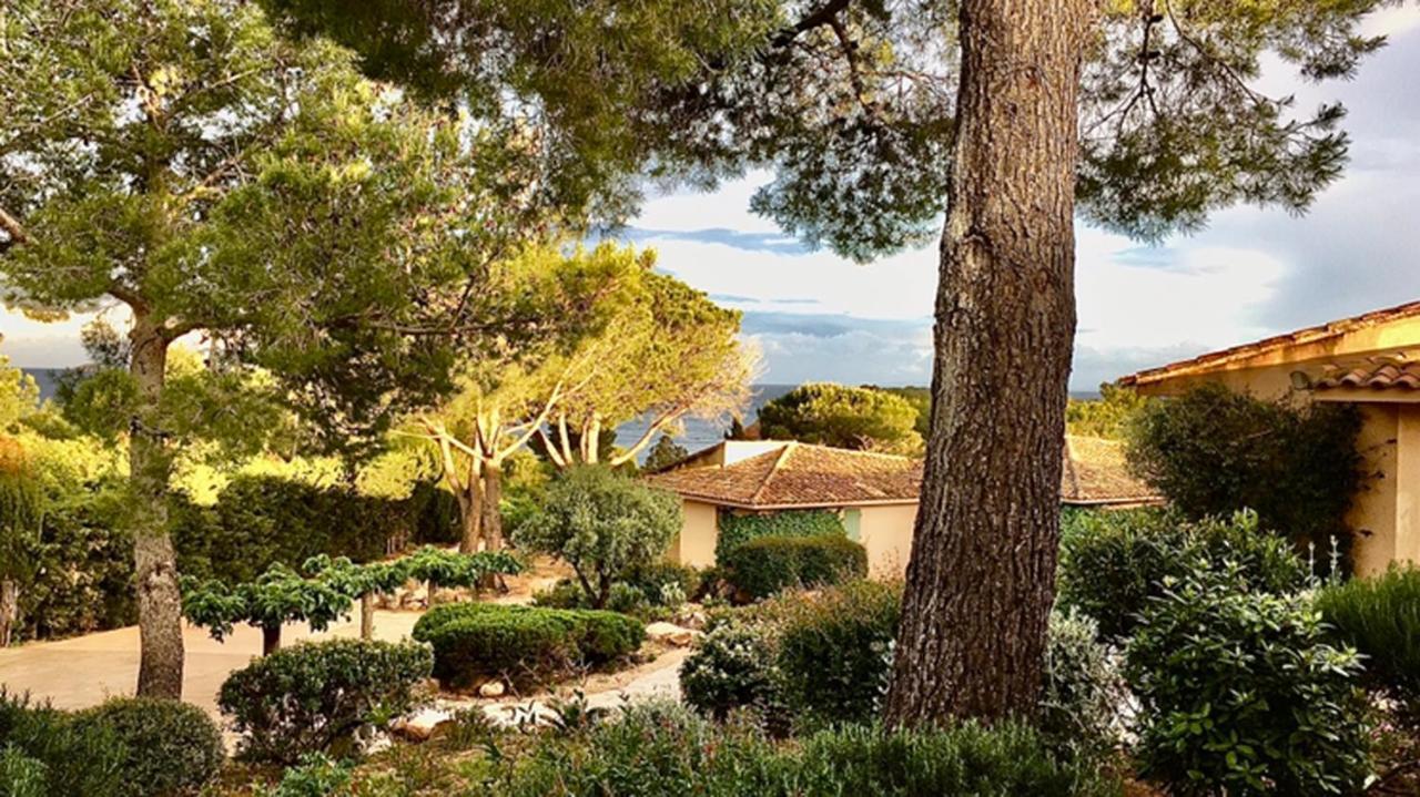 Palombaggia Villa Porto-Vecchio  Eksteriør bilde