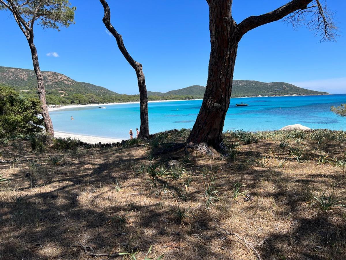 Palombaggia Villa Porto-Vecchio  Eksteriør bilde